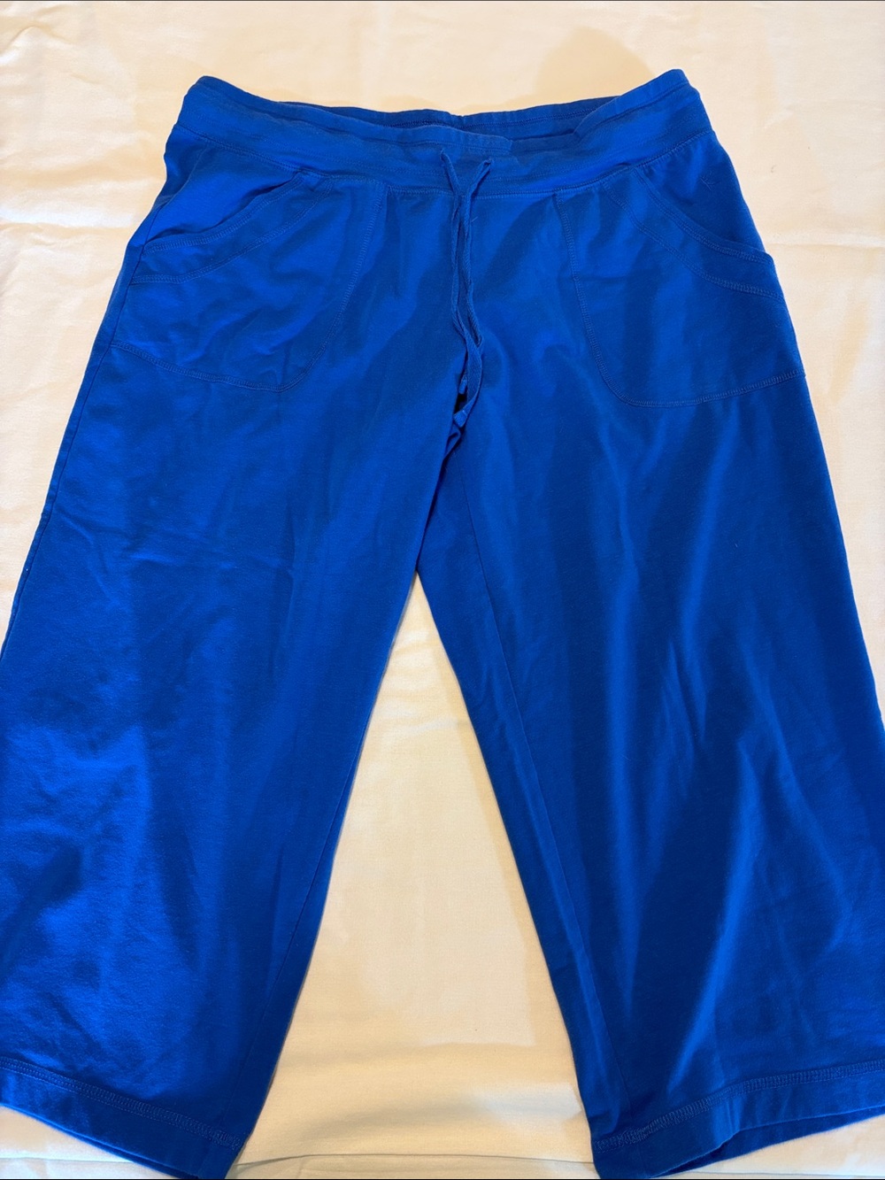 Danskin Bright Blue Activewear Shorts